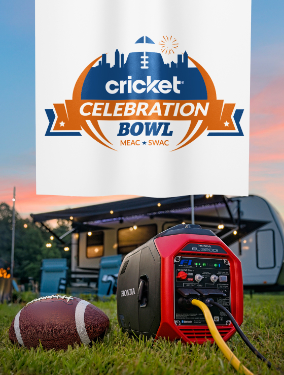 Celebration Bowl Banner 560x738